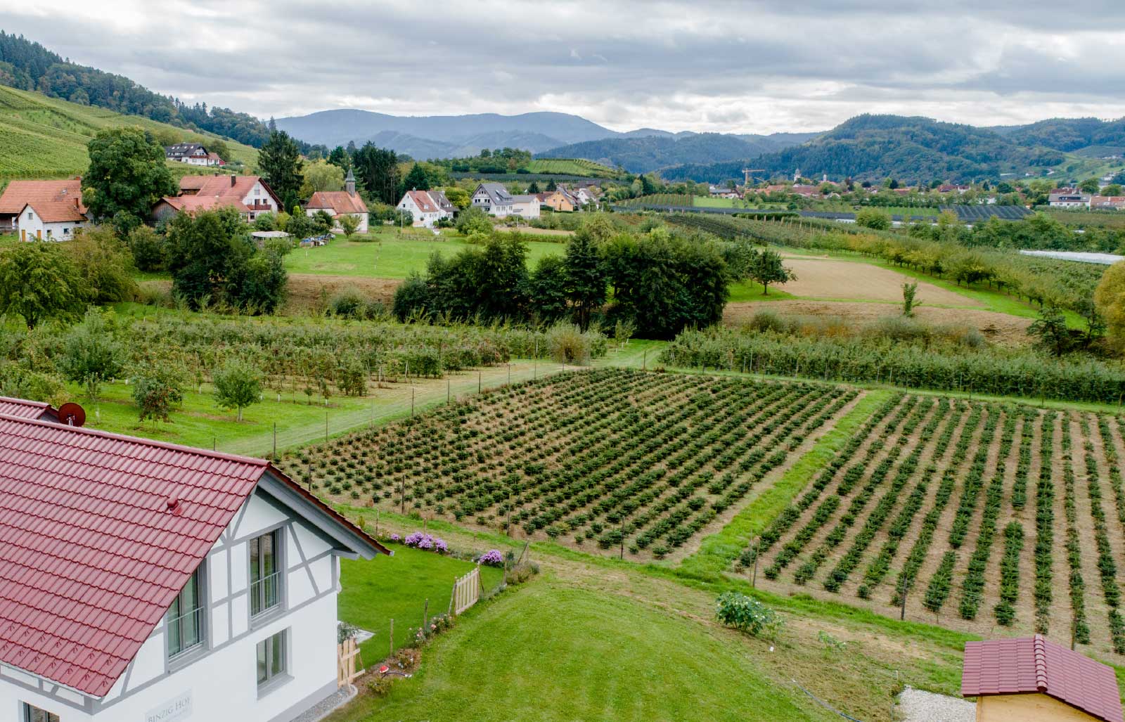 Ferienhäuser Renchtal