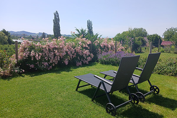 Ferienhaus Tannengrün
