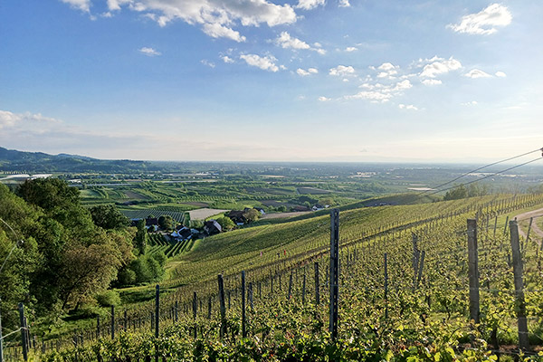 Aussicht über die Region